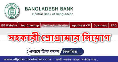 Assistant Programmer Job Circular